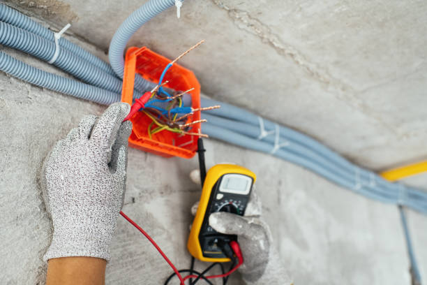 Best Home Electrical Repair  in Camanche, IA
